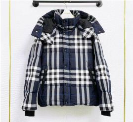 Picture of Burberry Down Jackets _SKUBurberryS-XLzyn808679